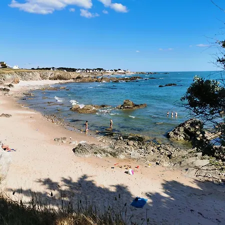 T3-vue Sur Ocean - Pieds Dans L'eau-terasse-jardin-parking Gratuit Apartment *